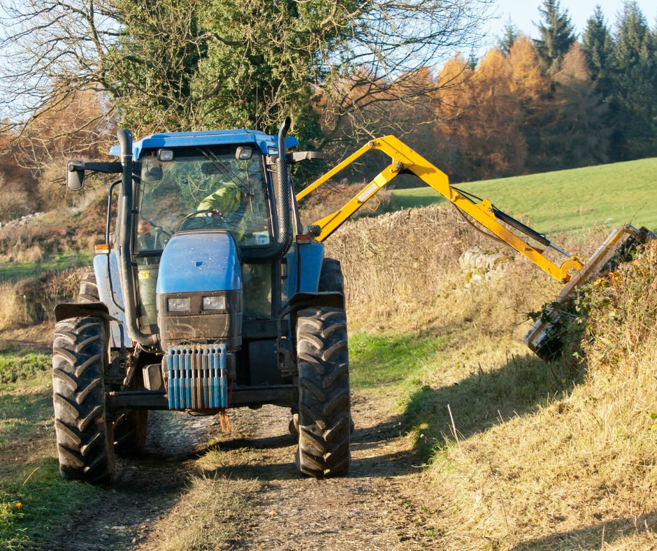 Preparing for Winter and Maintaining Healthy Boundaries